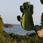 Felciaio Appartamento *